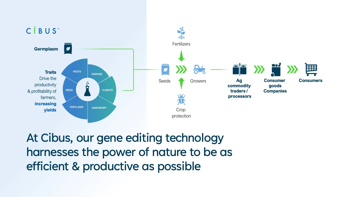 Agricultural Biotechnology Slides Diagram Slide