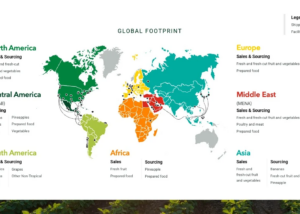 Investor Presentation Map of Global Network Slide