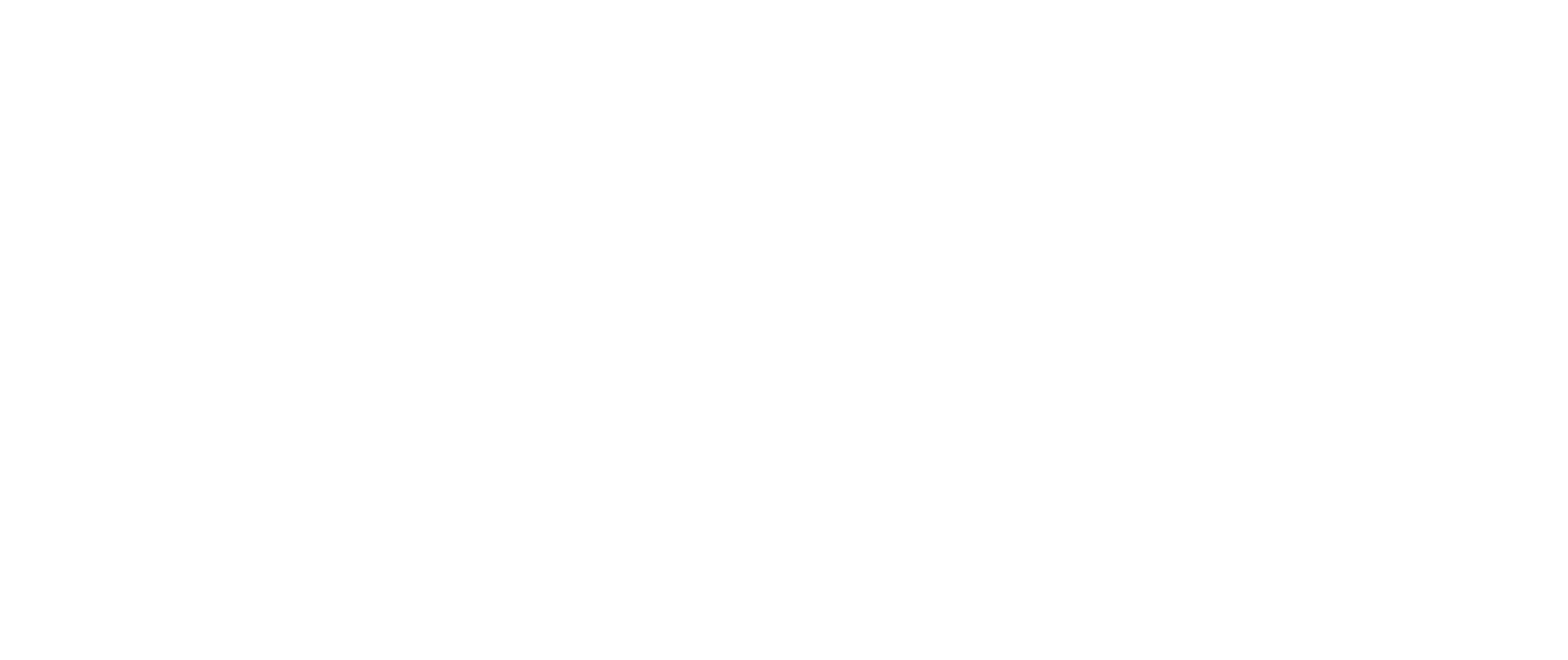 VisualSugar_logo_white